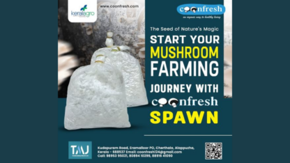 Fresh-Mushroom