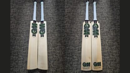 GM-Verva-Original-Cricket-Bat-Online-at-Best-Price-in-USA
