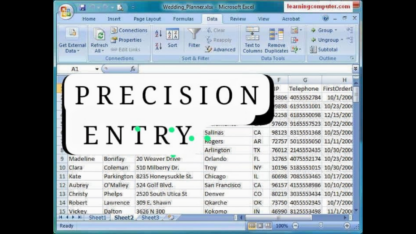 PRECISION-ENTRY-Professional-Data-Entry-Services