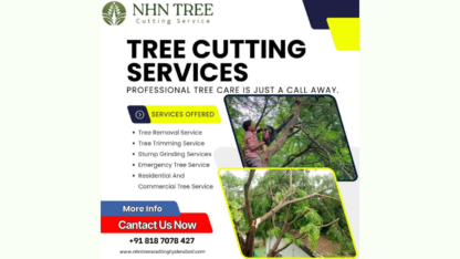 Top-Tree-Cutting-Services-in-Hyderabad