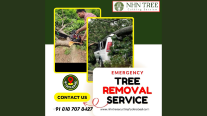 emergency-tree-removal-services