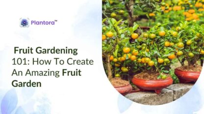 fruit-gardening-1