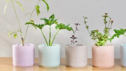 Concrete-Planter-Concrete-Kreation