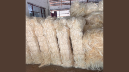 Sisal-Fiber-Grade-Ug-For-Export