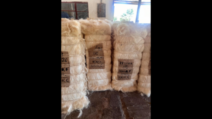 UG-Grade-Sisal-Fiber-of-Kenyan-Origin