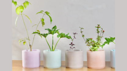 Wall-Hanging-Planter