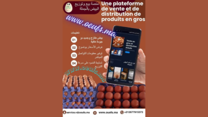 platforme-de-vente-oeufs-en-gros