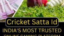 Find Trusted Cricket Satta ID Online