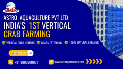 Mud-Crab-Vertical-Farming