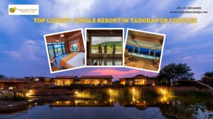 Top-Luxury-Jungle-Resort-in-Tadoba-for-Couples