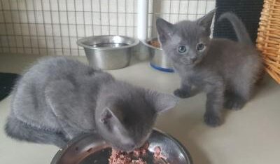 455179313_811096897848876_2698259924874578325_n