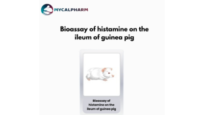 Bioassay-of-Histamine-on-the-Ileum-of-Guinea-Pig