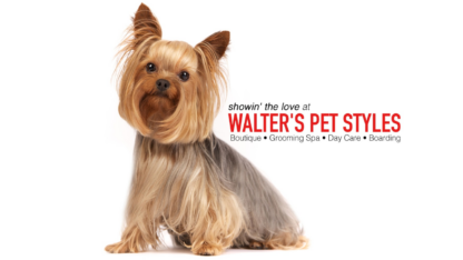 Find-the-Best-Pet-Grooming-Services-Near-You
