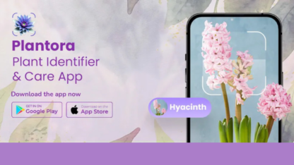 Identify-Any-Plant-Instantly-–-Try-Our-Plant-Identifier