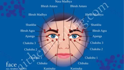 Marma-Points-Chart-of-Face-1-1-800×533.jpg