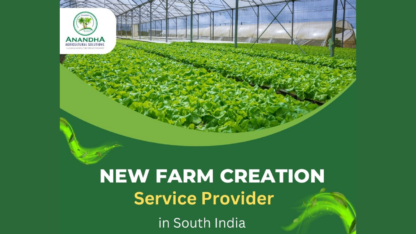 New-Farm-Creation-Experts-in-Tamilnadu