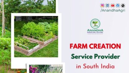 Nursery-Consulting-Service-In-Tamilnadu