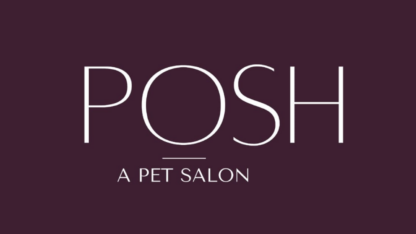 Pet-Grooming-in-Sharjah