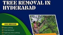 Best Tree Removal In Hyderabad