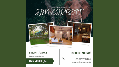 Affordable-Jim-Corbett-Tour-Packages-from-Delhi