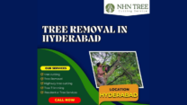 Best Tree Removal In Hyderabad