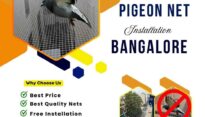 Top Pigeon Net Installation Services in Bangalore