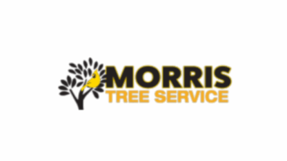Pinellas-Tree-Service-–-Professional-Trimming-Care
