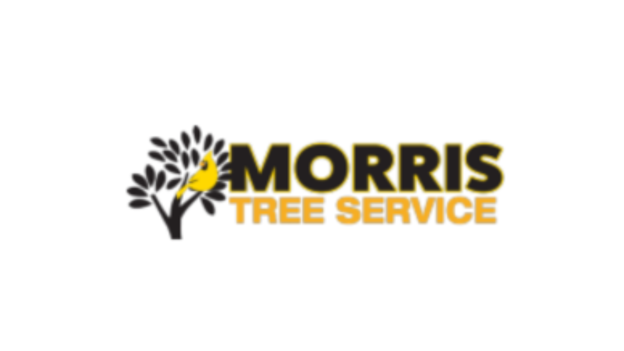 Pinellas Tree Service – Professional Trimming & Care