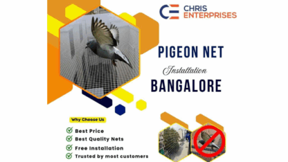 Top-Pigeon-Net-Installation-Services-in-Bangalore