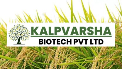 logo-1