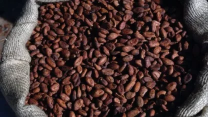 raw-cocoa-beans-500×500-1