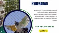 Protect Your Property with Anti Bird Nets in Hyderabad