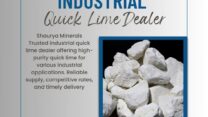Industrial Quick Lime Dealer