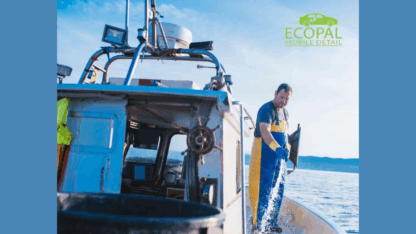 Professional-Boat-Detailing-Services-–-Restore-Protect-Shine-on-the-Water
