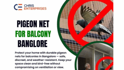 Protect-Your-Balcony-from-Pigeon-Infestation
