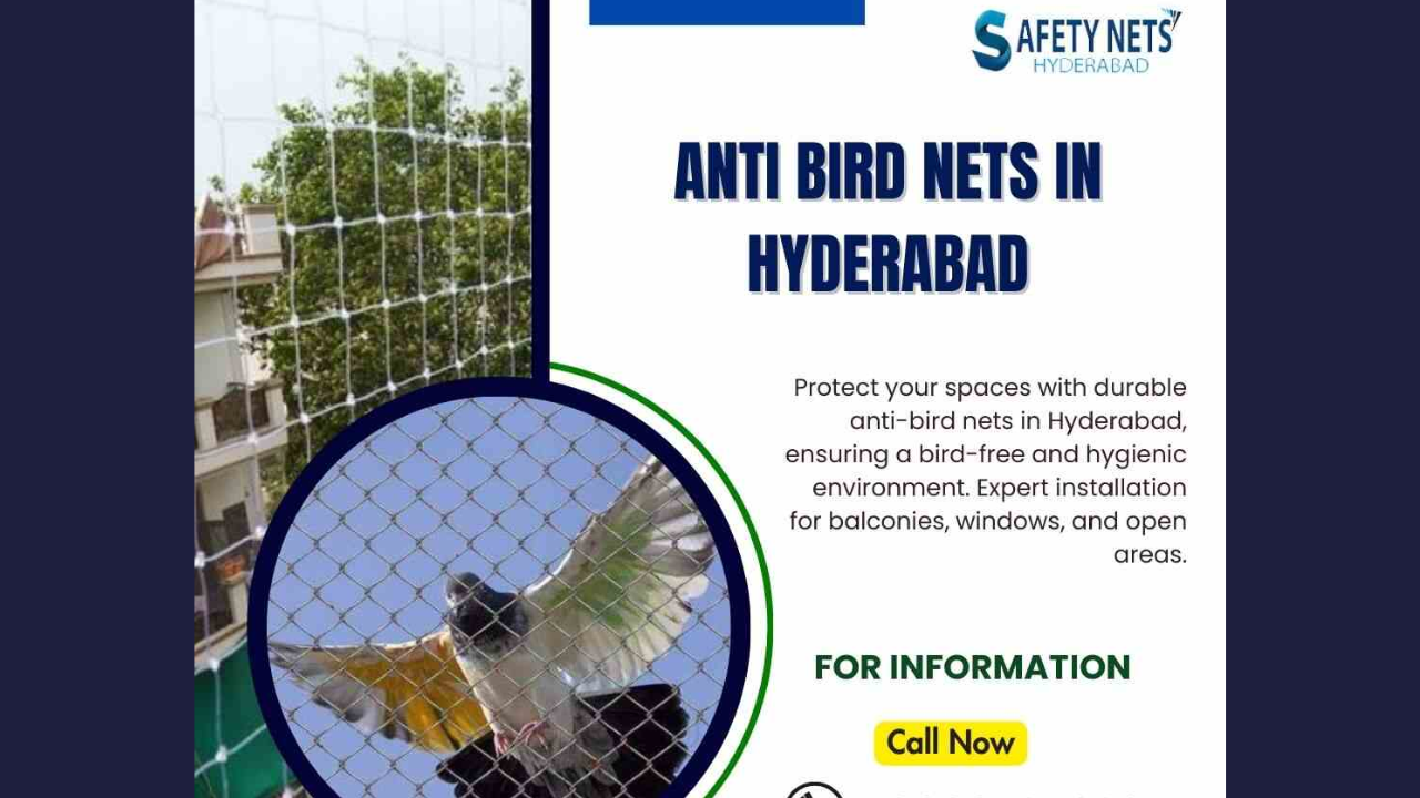 Protect Your Property with Anti Bird Nets in Hyderabad