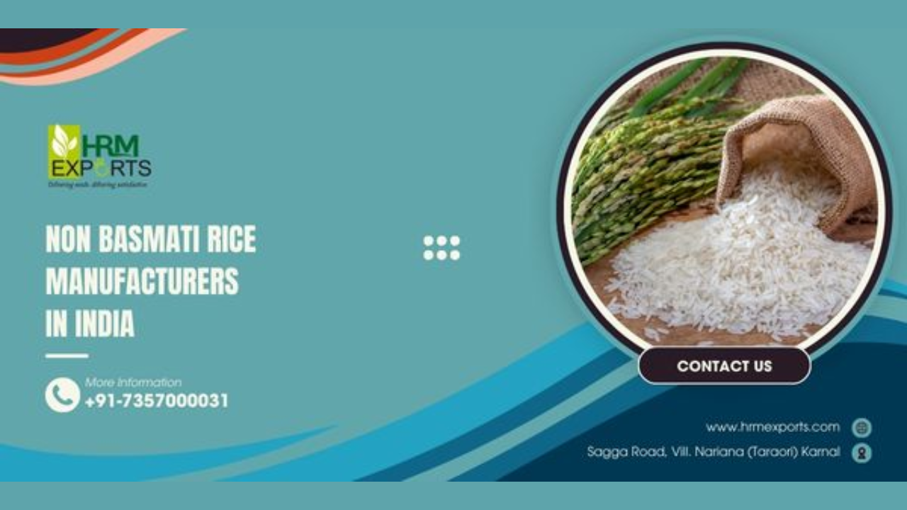Best Non Basmati Rice Manufacturers in India