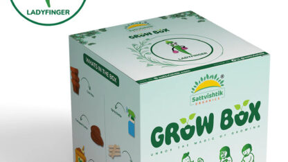 DIY_Grow_Kit_-_sattvishtik-2287938_1024x1024-2