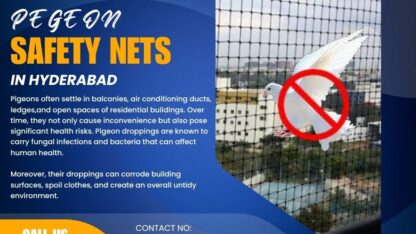 Pigeon-Safety-Nets-in-Hyderabad-JUNE-