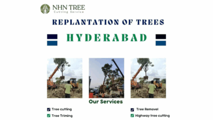 Replantation-of-Trees-In-Hyderabad