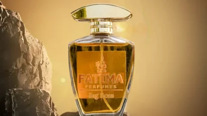 SaveClip.App_501542042_17860408218415941_7570069291788388585_n