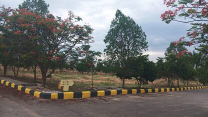 WhatsApp-Image-2025-05-25-at-11.55.17-AM