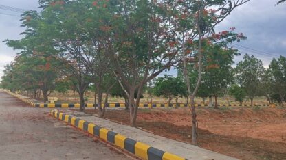 WhatsApp-Image-2025-05-25-at-11.55.19-AM