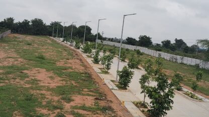 WhatsApp-Image-2025-06-15-at-12.37.44-PM