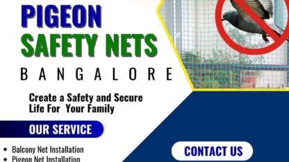 Pigeon-Safety-Nets-Bangalore-4-1