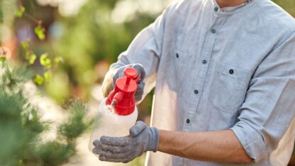 Plant-Seeds-Company-Nath-Bio-Genes