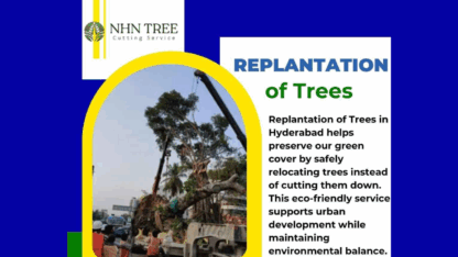 Professional-Replantation-of-Trees-in-Hyderabad