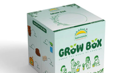 Sattvishtik-DIY-Grow-Kit-–-A-Fun-Healthy-Way-to-Learn-Gardening