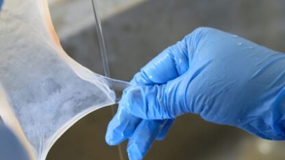 Shutterstock_2477481927-745×497-1