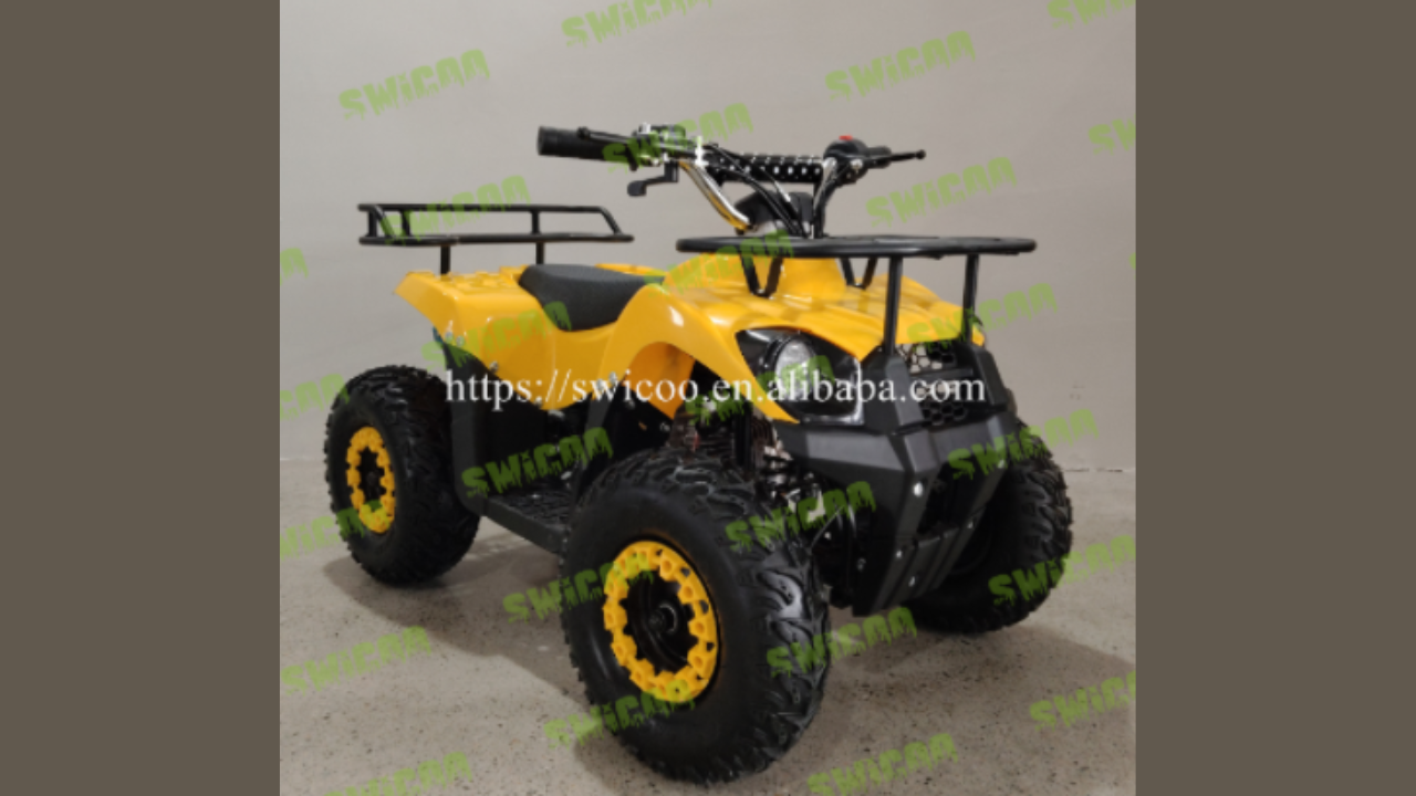 Sport Gasoline 50cc ATV SOHV 50CC 4-Stroke Mini ATV Off Road Vehicle Quad Bike for Kids